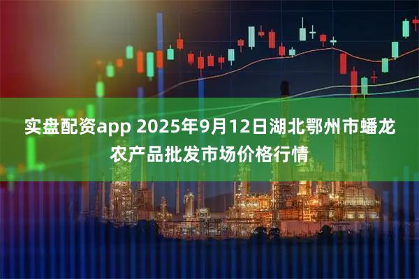 实盘配资app 2025年9月12日湖北鄂州市蟠龙农产品批发市场价格行情